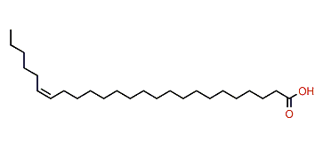 (Z)-19-Pentacosenoic acid