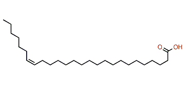 (Z)-19-Hexacosenoic acid
