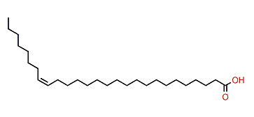 (Z)-19-Heptacosenoic acid