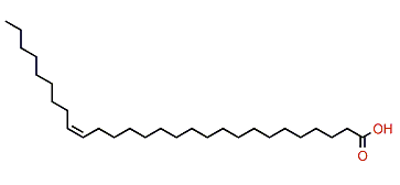 (Z)-19-Octacosenoic acid