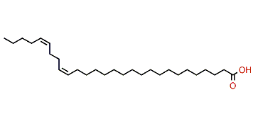 (Z,Z)-19,23-Octacosadienoic acid