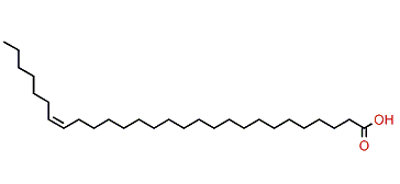 (Z)-21-Octacosenoic acid