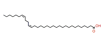 (Z,Z)-21,25-Dotriacontadienoic acid