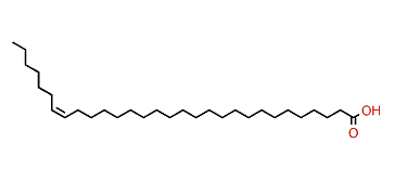 (Z)-23-Triacontenoic acid