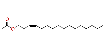 (Z)-3-Hexadecenyl acetate