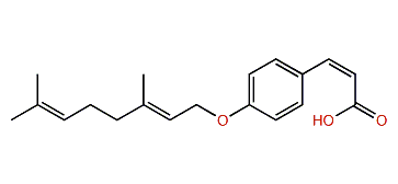 (Z)-4-(Geranyloxy)-cinnamic acid