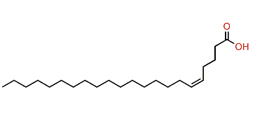 (Z)-5-Docosenoic acid