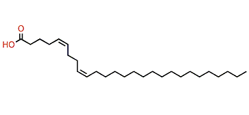 (Z,Z)-5,9-Heptacosadienoic acid