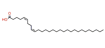 (Z,Z)-5,9-Nonacosadienoic acid