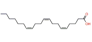 (Z,Z,Z)-5,9,13-Eicosatrienoic acid