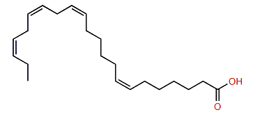 (Z,Z,Z,Z)-7,13,16,19-Docosatetraenoic acid