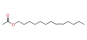 (Z)-8-Tridecenyl acetate