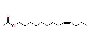 (Z)-9-Tridecenyl acetate