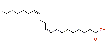 (Z,Z)-9,13-Eicosadienoic acid