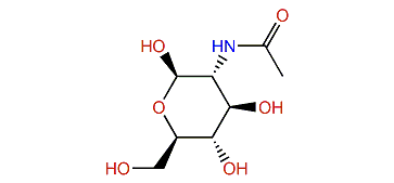 N-Acetyl-beta-glucosamine