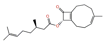 Acetylcoriacenone
