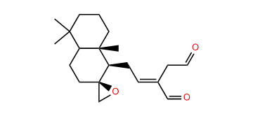 8beta,17-Epoxy-(E)-12-labdene-15,18-dial