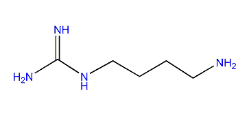 (4-Aminobutyl)-guanidine