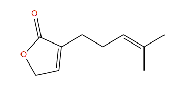 3-(4-Methyl-3-pentenyl)-2(5H)-furanone