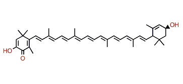 2,3-Didehydro-3,3'-dihydroxy-beta,epsilon-caroten-4-one