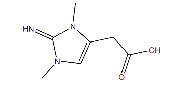 2-(2,3-Dihydro-2-imino-1,3-dimethyl-1H-imidazol-5-yl)-acetic acid