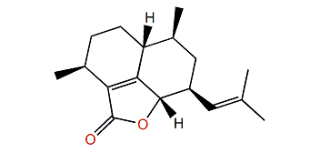 Amphilectolide