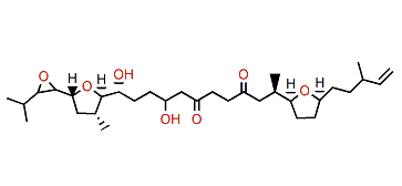 Amphirionin-5