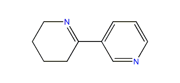 3,4,5,6-Tetrahydro-2,3'-bipyridine