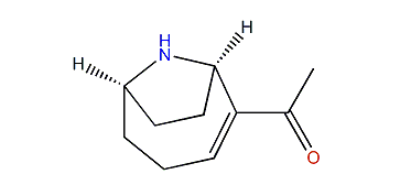 (1R,6R)-2-Acetyl-9-azabicyclo-4.2.1-non-2-ene