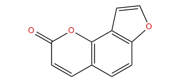 2H-Furo[2,3-H]chromen-2-one