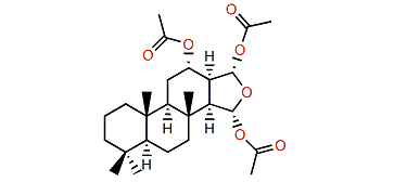 12,15,16-Triacetoxyspongiane