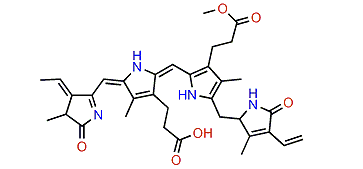 Aplysioviolin