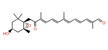 (3S,5R,6S)-5,6-Epoxy-3-hydroxy-8-oxo-5,6,7,8-tetrahydro-12'-apo-beta-caroten-12'-al