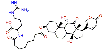3-(N-Suberoyl argininyl)-arenobufagin