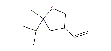 1,6,6-Trimethyl-4-vinyl-2-oxa-bicyclo[3.1.0]hexane