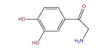 2-Amino-1-(3,4-dihydroxyphenyl)-ethanone