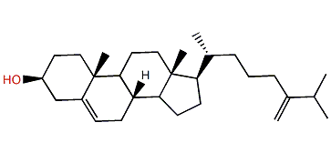 27,27-Dimethylcholesta-5,25-dien-3b-ol