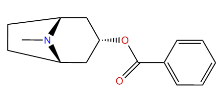 Benzoyltropeine