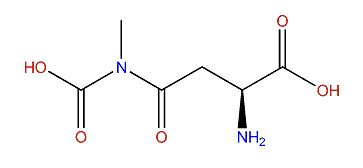 (2S)-2-Amino-4-(carboxymethylamino)-4-oxobutanoic acid