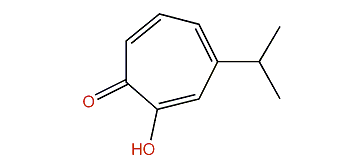 2-Hydroxy-4-isopropyl-2,4,6-cycloheptatrien-1-one