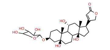 Bipindogenin-3b-xylopyranoside
