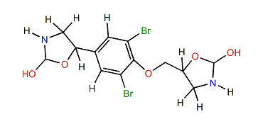 bis-2-Oxazolidone