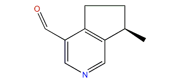 (R)-6,7-Dihydro-7-methyl-5H-cyclopenta[c]pyridine-4-carbaldehyde