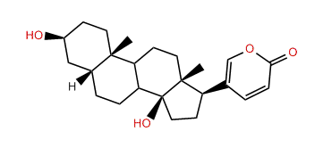 3b,14b-Hydroxybufa-20,22-dienolide