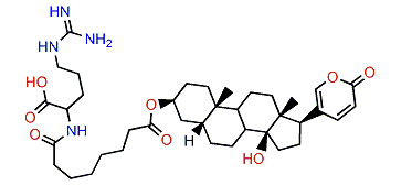 3-(N-Suberoyl argininyl)-bufalin