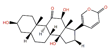 3b,12b,14b-Trihydroxybufa-20,22-dienolide