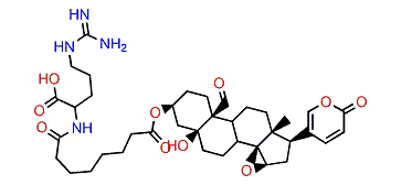 3-(N-Suberoyl argininyl)-bufotalin