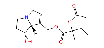 9-(2-Acetoxy-2-methylbutanoyl)-retronecine