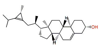 (28R)-23,28-Cyclostigmasta-5,23-dien-3b-ol