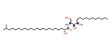 (2S,3S,4R)-2-[(R)-2-Hydroxy-21-methyldocosanoylamino)-1,3,4-pentadecanetriol